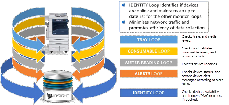 Loops