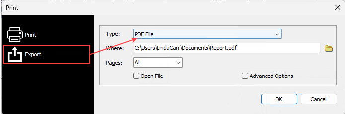 exportpdf1