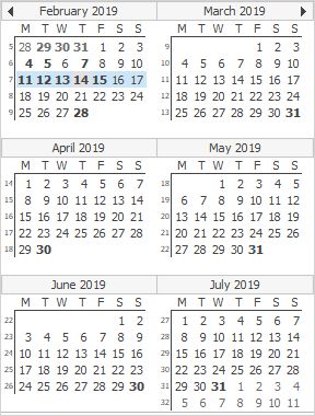6 month calendar view