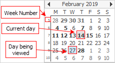 calendar view